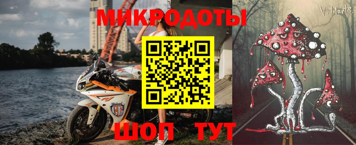 Галлюциногенные грибы Psilocybe  Вход с VPN  Черняховск 