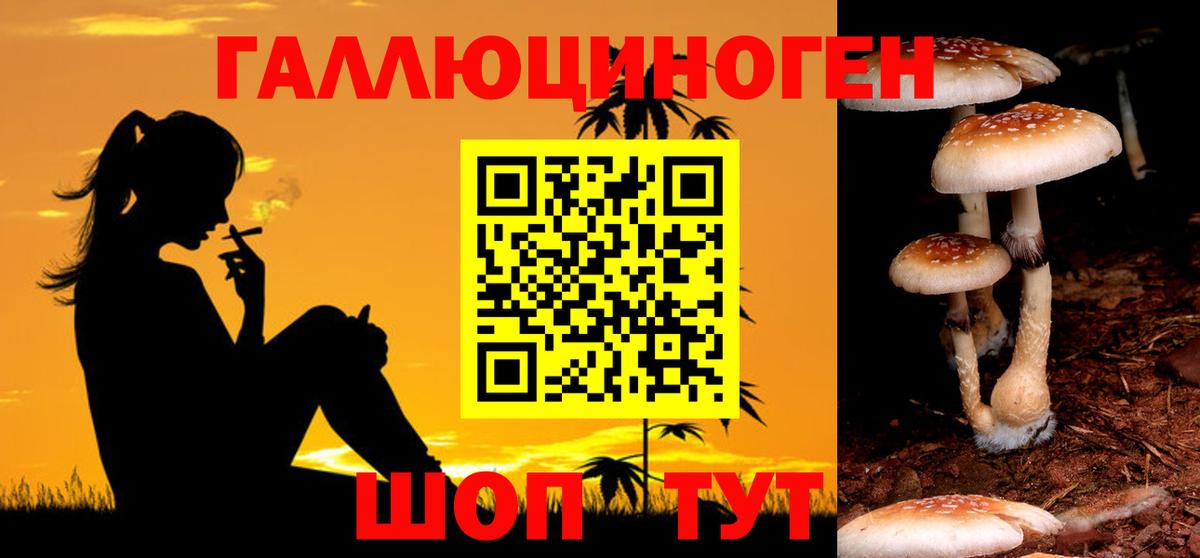 Псилоцибиновые грибы Cubensis Черняховск
